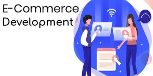 Custom E-Commerce Web Development Services