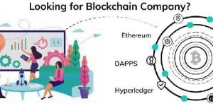 Web Services Integrations ( API )