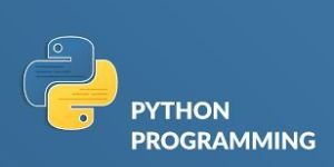 Python Training Course