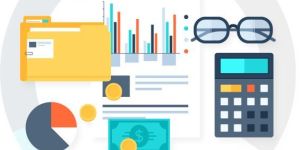 Software Development