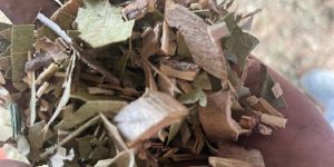 Loose Biomass Chips >10mm Contact 9845947105