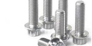 Stainless Steel Fastener