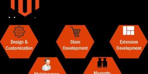 Magento Development