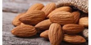 Almond Nuts