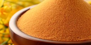 Rapeseed Lecithin Powder