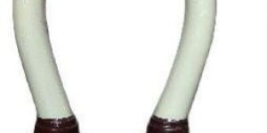 Home and Stage Decorative Fiber Made Elephant Tusk Replica