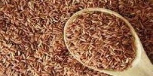 Brown Rice