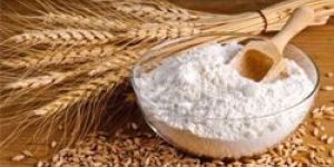 Wheat Flour