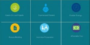 Best IT Courses Training Institute in Bangalore