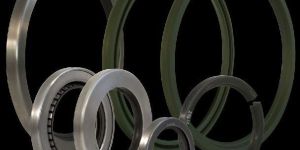 Oil Seals