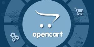 Opencart Development Service