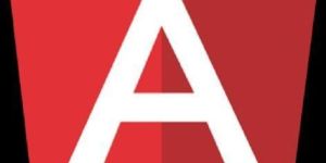 Angular Development Service