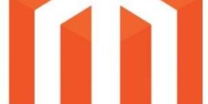 Magento Development Services