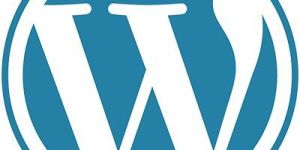 Wordpress Development Services