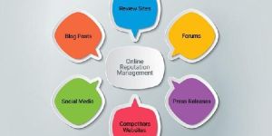 Online Reputation Management Services