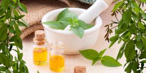 Peppermint Oil Pure