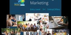 Digital Marketing Institute