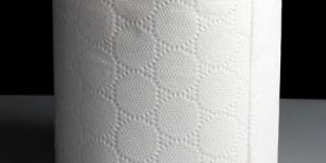 Toilet Paper Roll