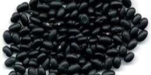 Black Kidney Beans