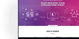 Website Development Services