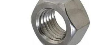MS Hex Nut