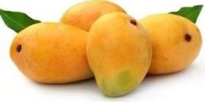 Fresh Mango