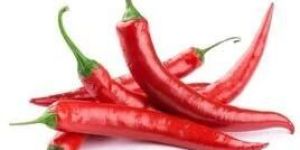 Fresh Red Chilli