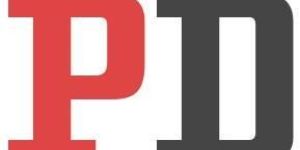 Dynamic Web Designing Services