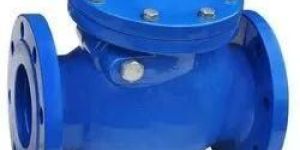Check Valves