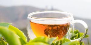 Darjeeling Tea