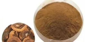 Artichoke Extract Powder