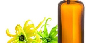 Ylang Ylang Oil