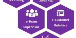 Salesforce Automation Software with Mobile, Tablet Applications