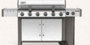 Stainless Steel Gas Grill