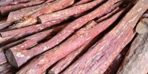 Red Sandal Wood