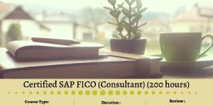 Certified SAP FICO (Consultant)