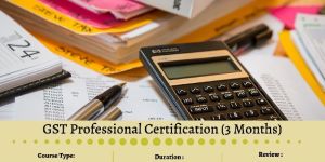 GST Professional Certification