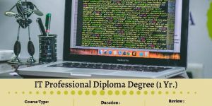 IT Professional Diploma Degree