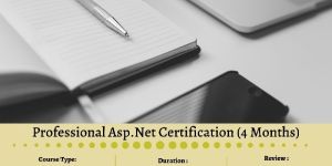 Professional Asp.Net Certification