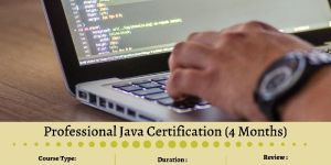 Professional Java Certification