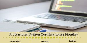 Professional Python Certification