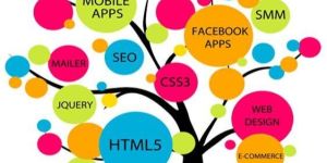 Web Development Service