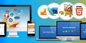 Web Designing Internship