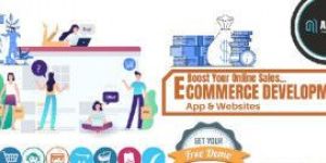 Ecommerce Software Development