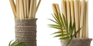 Bamboo Straw