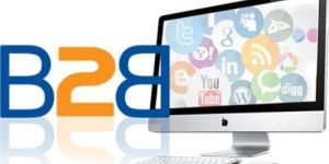 B2B Development Services