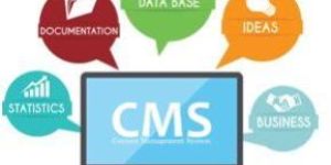 Cms Development Services