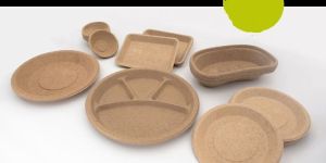 Biodegradable Plates