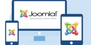 Joomla Development