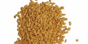 Fenugreek Seed